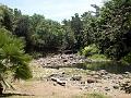 28 - Jardin des eaux 013